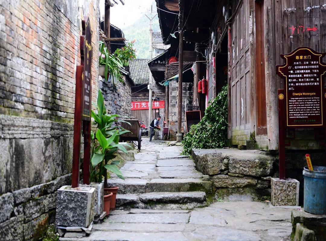 “全球长时间序列投入产出数据库”发布